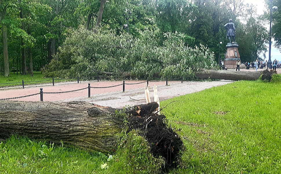 Парки Кронштадта не закрыли из-за непогоды